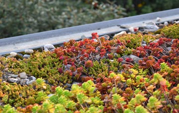 the cost of Lincolnshire green roof installation