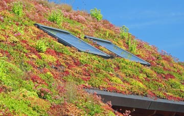 Lincolnshire living roof systems